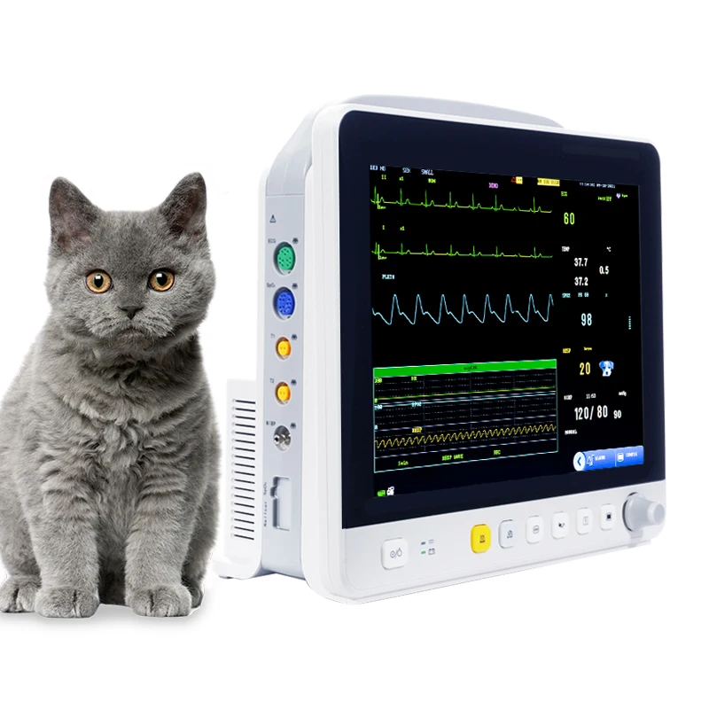 

12 Inch Veterinary for Pets Clinics and Vet Hosptials High-End Parameters Modular