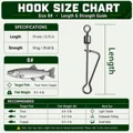 Size 8