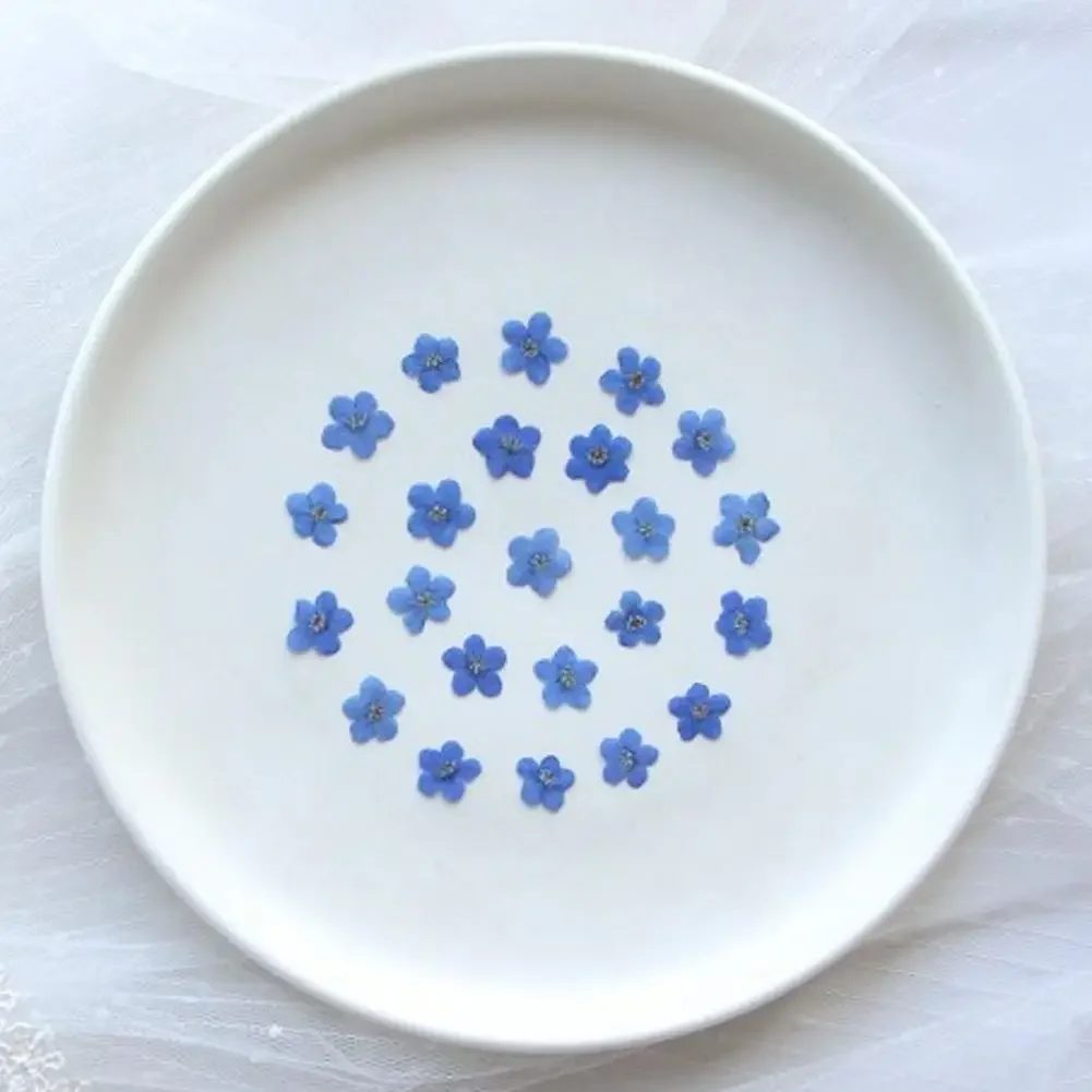 جيد 20 قطعة مجموعة ننسى لي لا المجففة زهرة رئيس الايبوكسي الراتنج قالب ملء DIY بها بنفسك مسمار الفن زهرة ملصقات بطاقة جراب هاتف الزينة #4