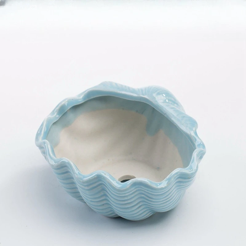 Hot selling ocean succulent flowerpot ornament cute cartoon whale shell meat plant small flowerpot