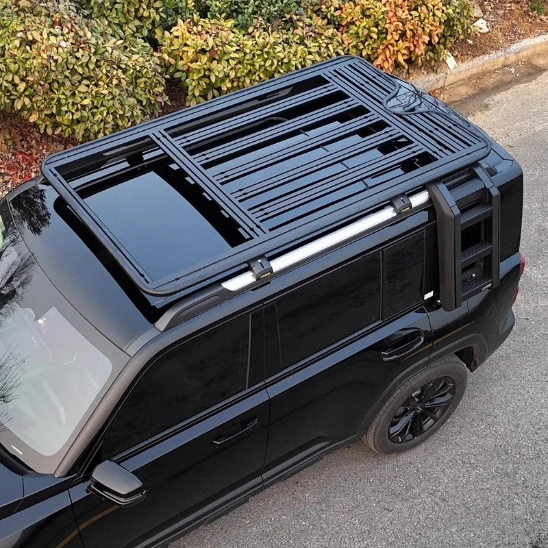 

Roof rack platform side ladder, modified Raptor, schoolbag side tent