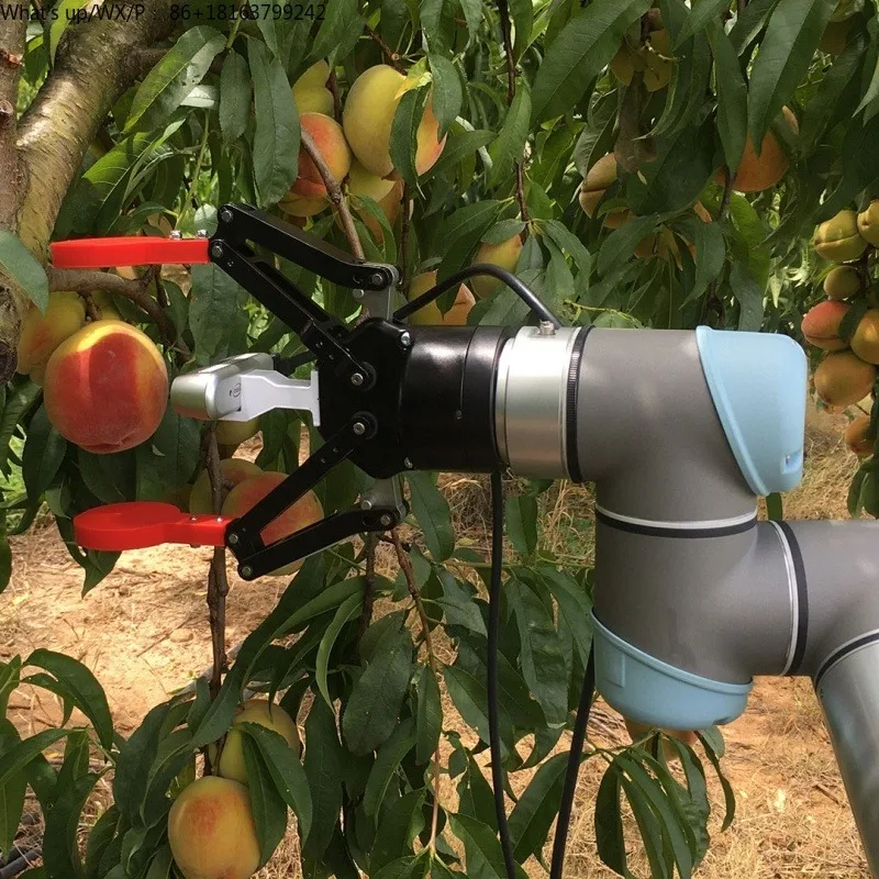 

Automated Intelligent Fruit Harvesting Ro bot Variety Agricultural Vegetable Picking Rob ot Accurate Rob otics Ap ple Harvester