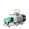 220V/380V WCB-30/50 모터 주철 연료 이송 펌프 기어 펌프 자체 프라이밍 전기가있는 Protable 기어 오일 펌프 3