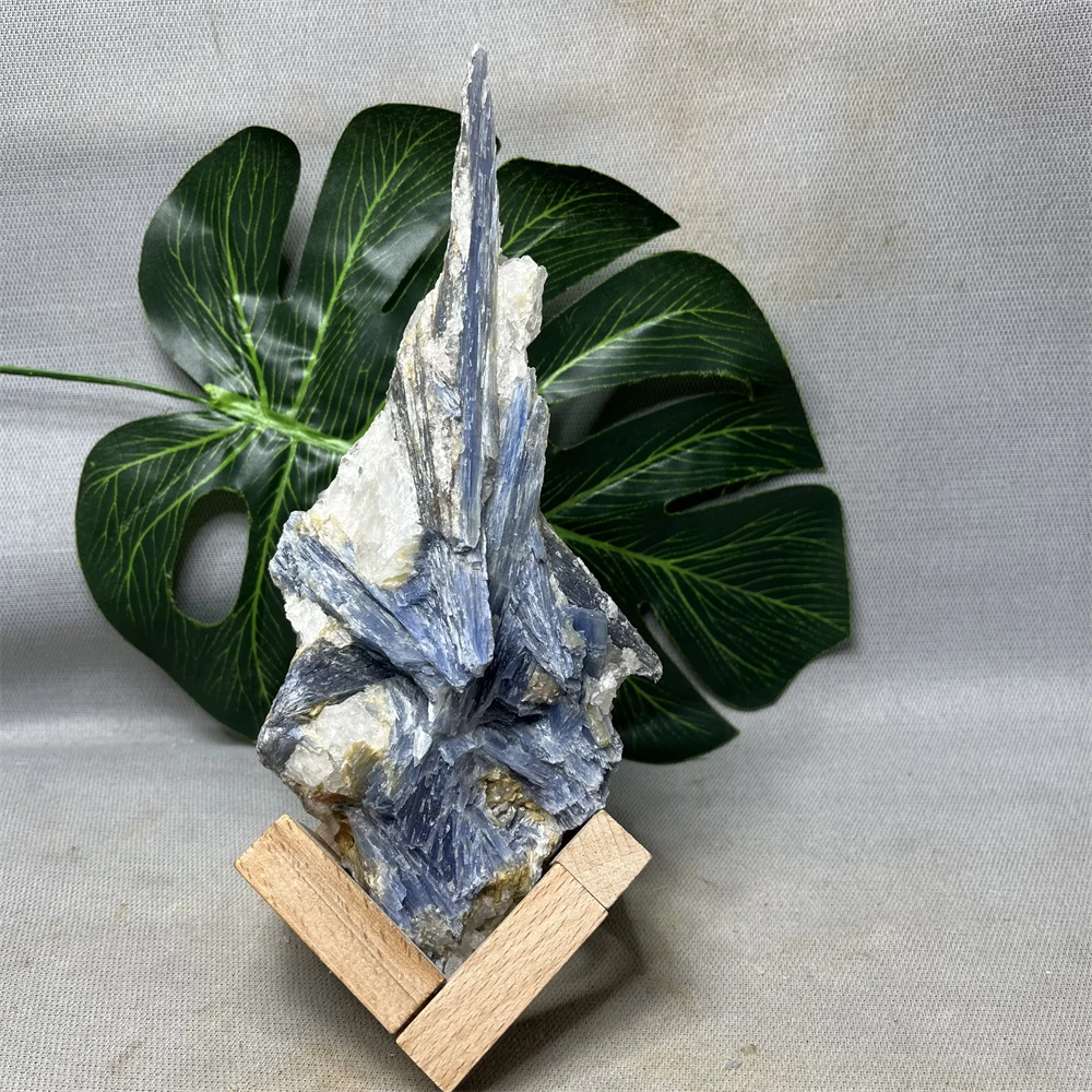 Natural Gemstone Kyanite Original Mineral Specimen Shape Strange Home Room Decoration Gift Witchcraft altar Prayer Gift Pedestal