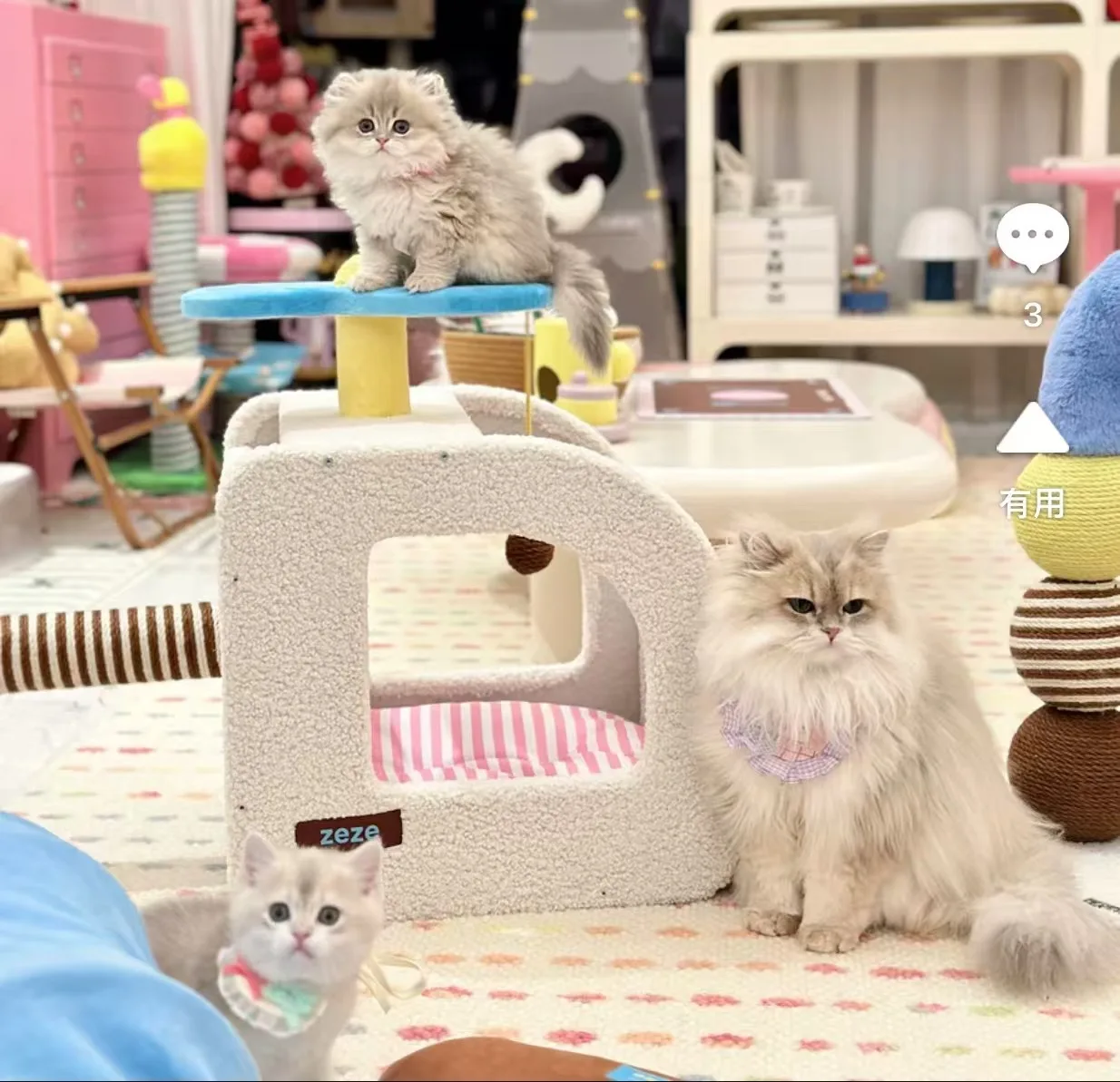 

Кровать для кошек, универсальный съемный деревянный домик для четырех сезонов для кошек и маленьких собак, летние товары для домашних животных