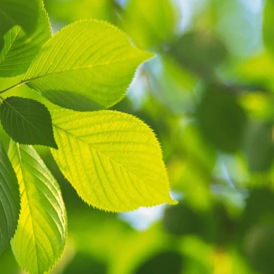 

TIMEA 540 8,5 т 10,5 т 13,5 т бесщеточный двигатель CHEETAH с датчиком Hobbywing 10BL120 ESC для модифицированного Spec Stock 1/10 1/12 RC Drift Car