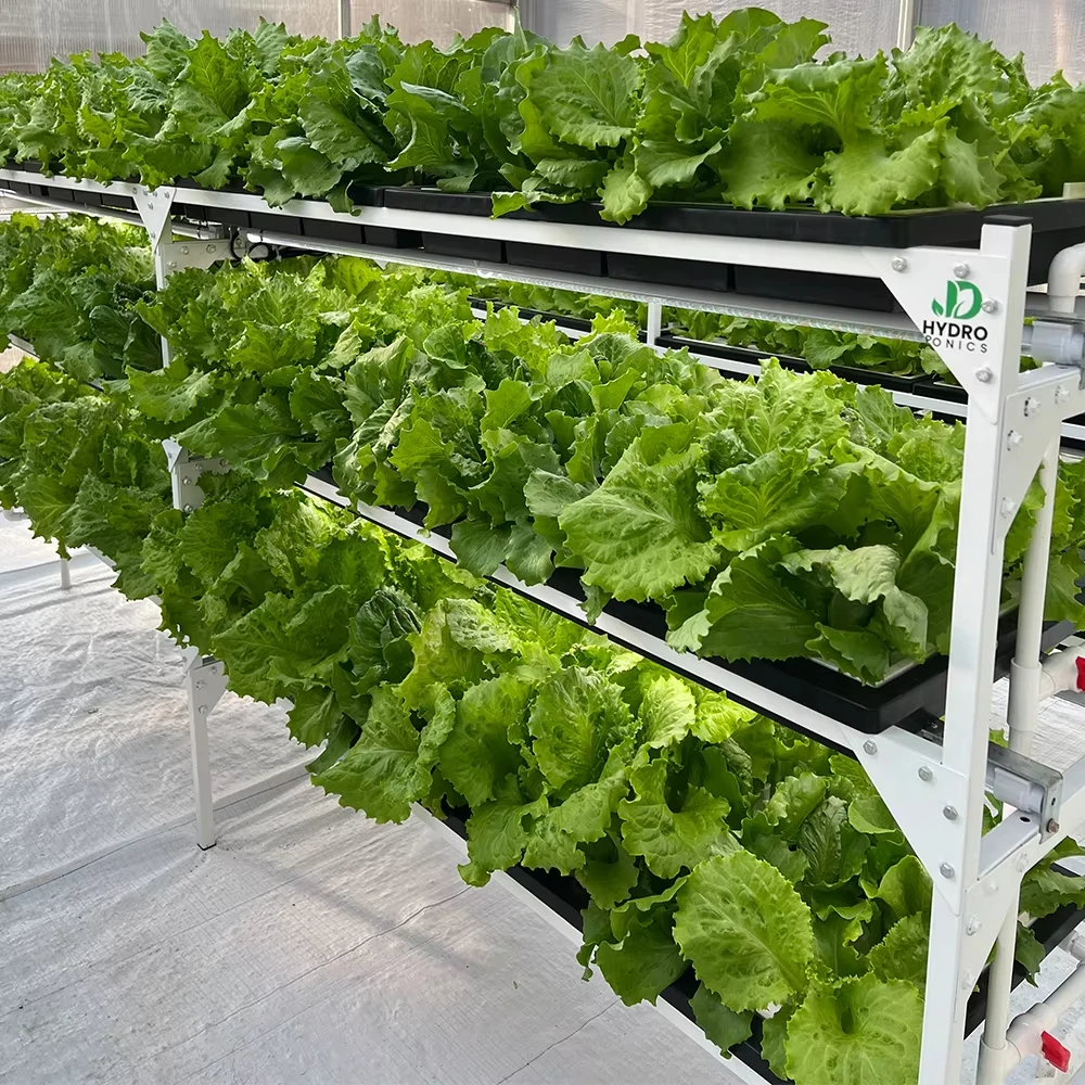 نظام الخزانة ydroponic Aquaponics الري الزراعة المنزل الذكي الآلي الكامل الزراعة العمودية المتقدمة H #4