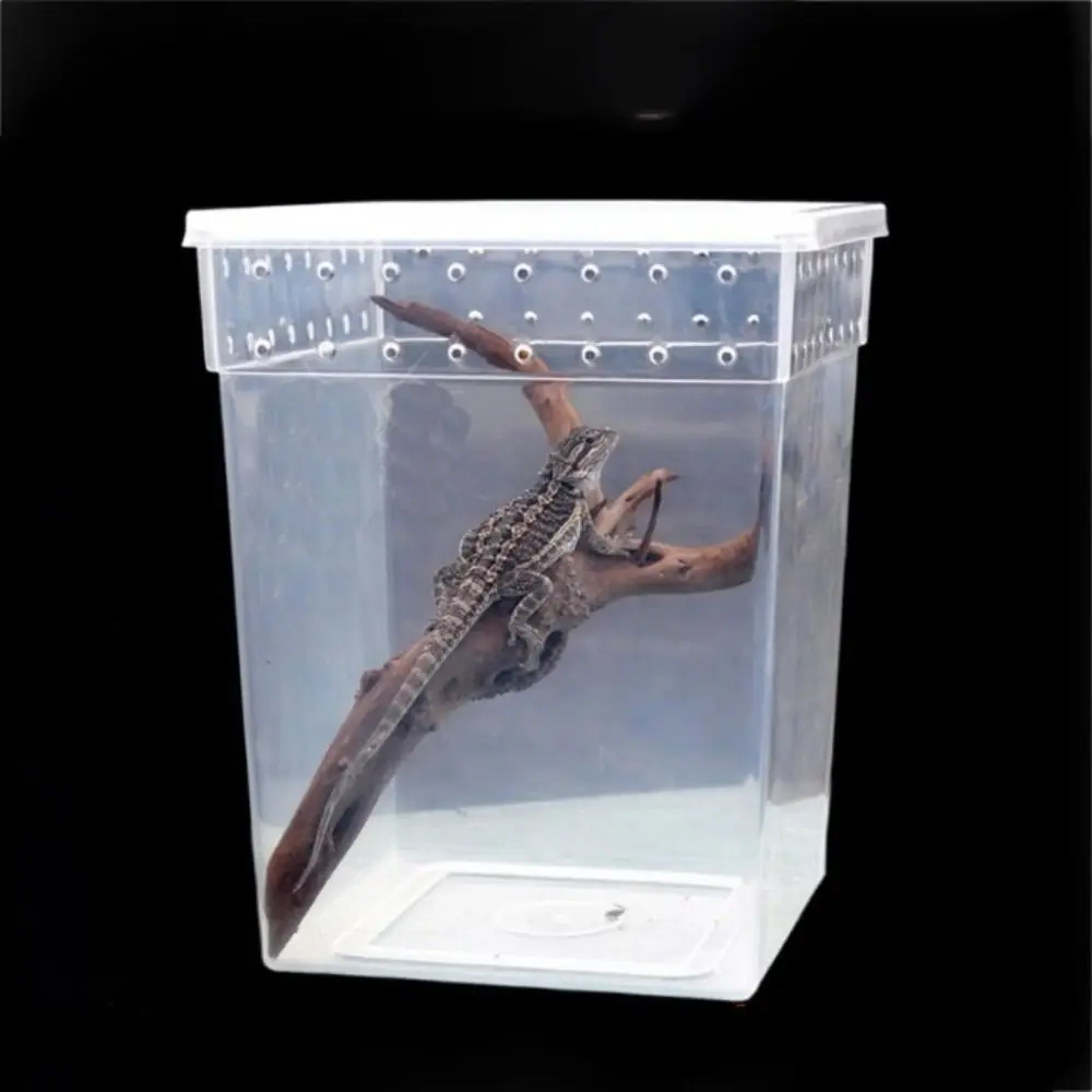 

Transparent Reptile Accessories Plastic Insect Feeding Box Lizard Living Box Reptile Habitat Hatching Tank