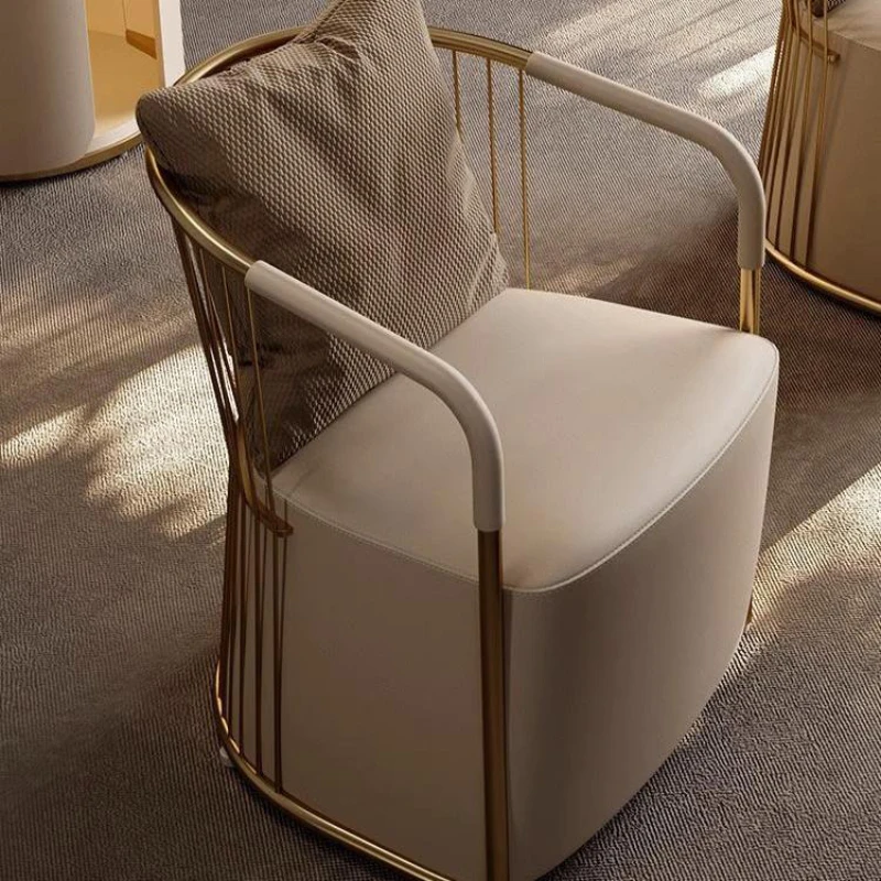 Light luxury tea chairs, master chairs, villas, living rooms, high-end guest chairs, designer stainless steel polar ring chairs,