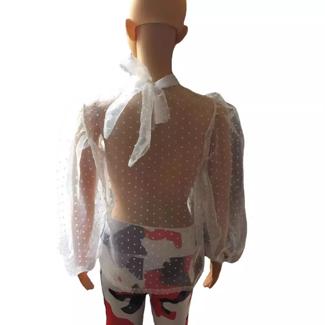 Long-sleeved Turtleneck See-through Top 2025 Autumn and Winter  European and American Women's Clothing