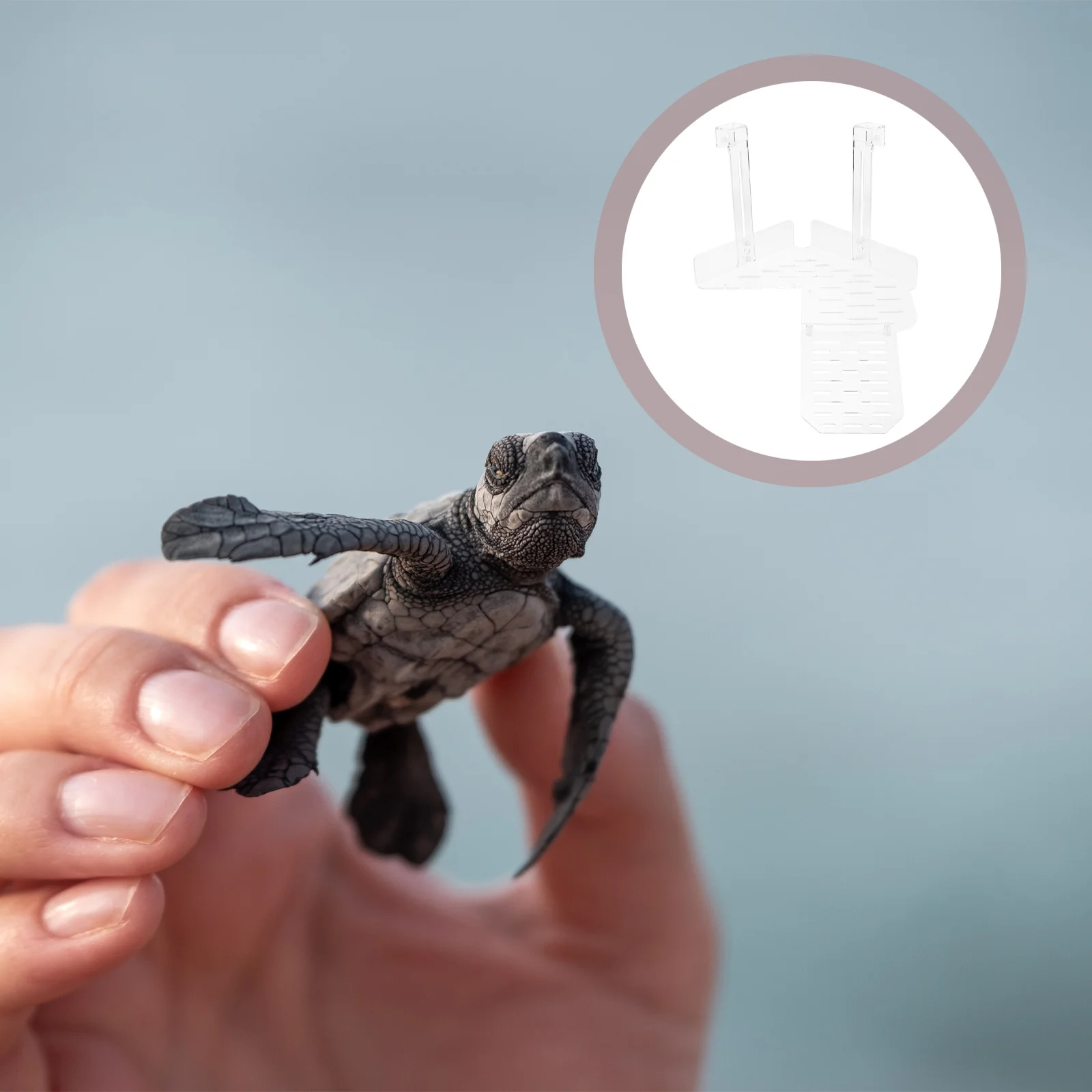 

1 set Turtle Basking Platform 1 Set Acrylic Hanging Reptile Terrace For Aquatic Turtles Reptile Climbing Platform Terrarium