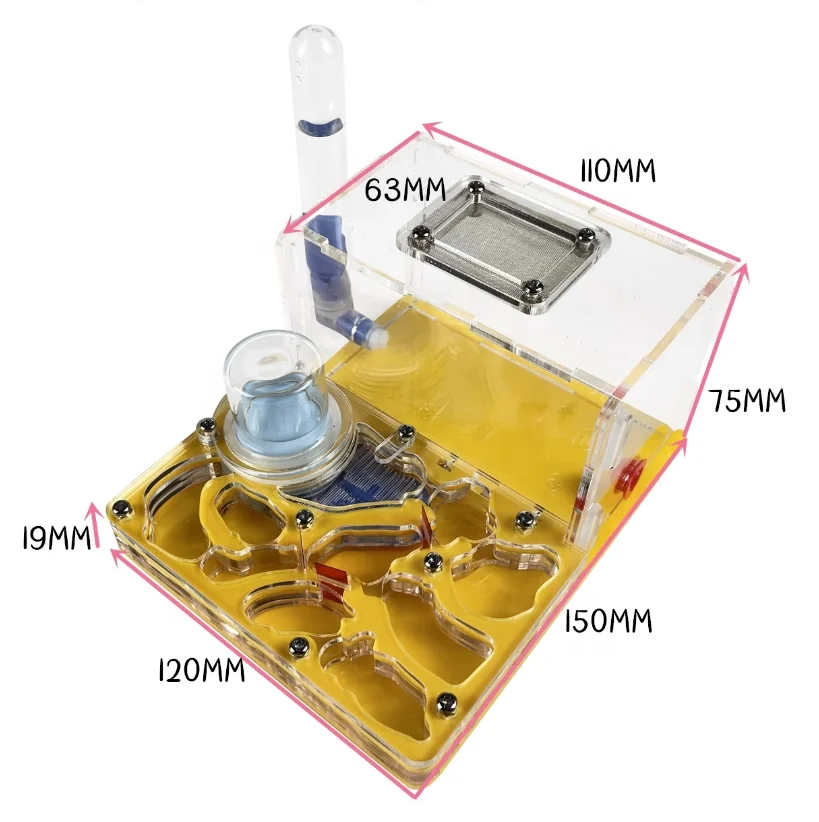 Multi-color Optional Acrylic Ant Flat Nest Ant Farm Replaces Ant Workshop Including Light Shield And Water Feeder