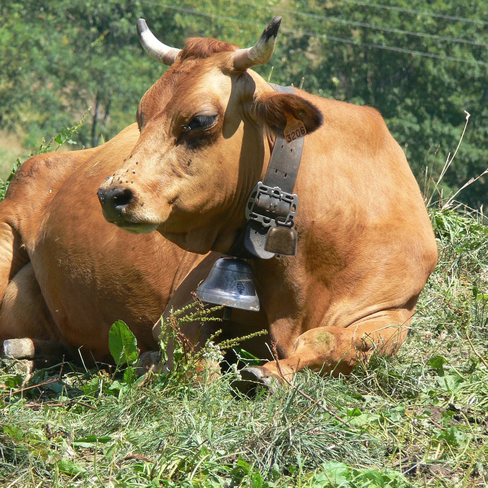 

2Pcs Square Shape Cowbells Noisemaker Calling Bells Handle Outdoor Sports Event Wedding Festival Classroom Birthday Use Durable