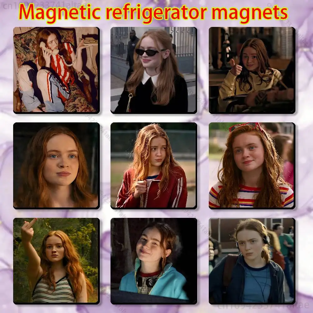 

S-Sadie S-Sink Magnetic Fridge Magnets - No Falling Off, Fit for Refrigerators, All Metal Surfaces,Home Decor