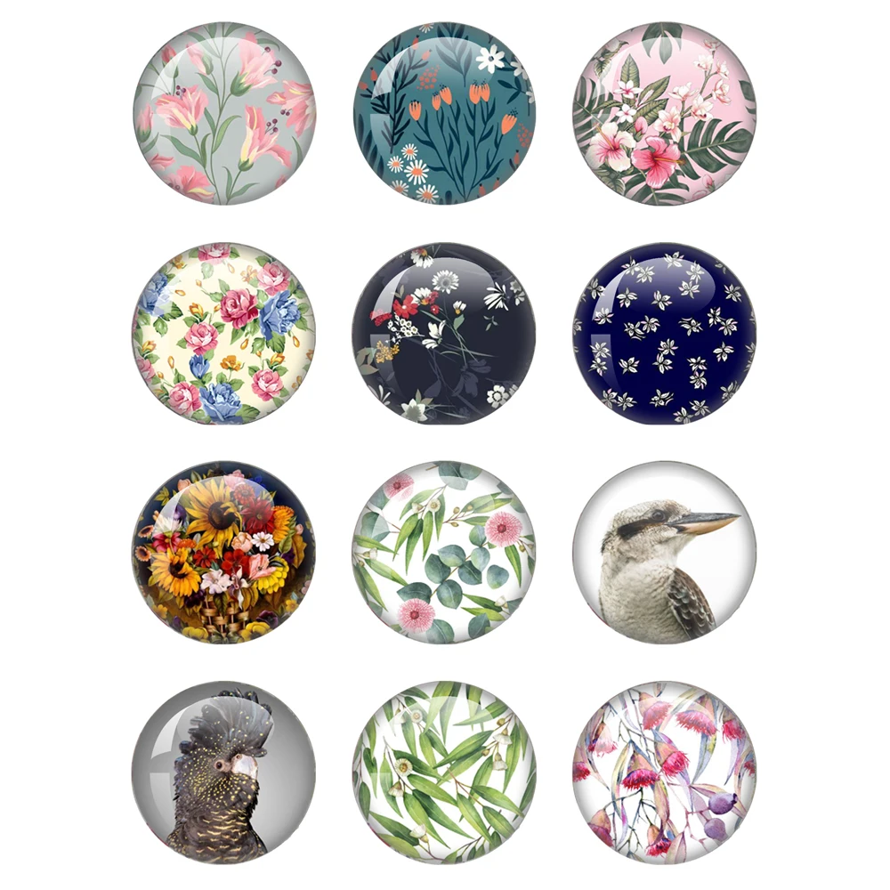 Colorful Flowers Succulent Plant 12pcs Mixed 12mm/18mm/20mm/25mm Round Photo Glass Cabochon Flat Back Making Findings