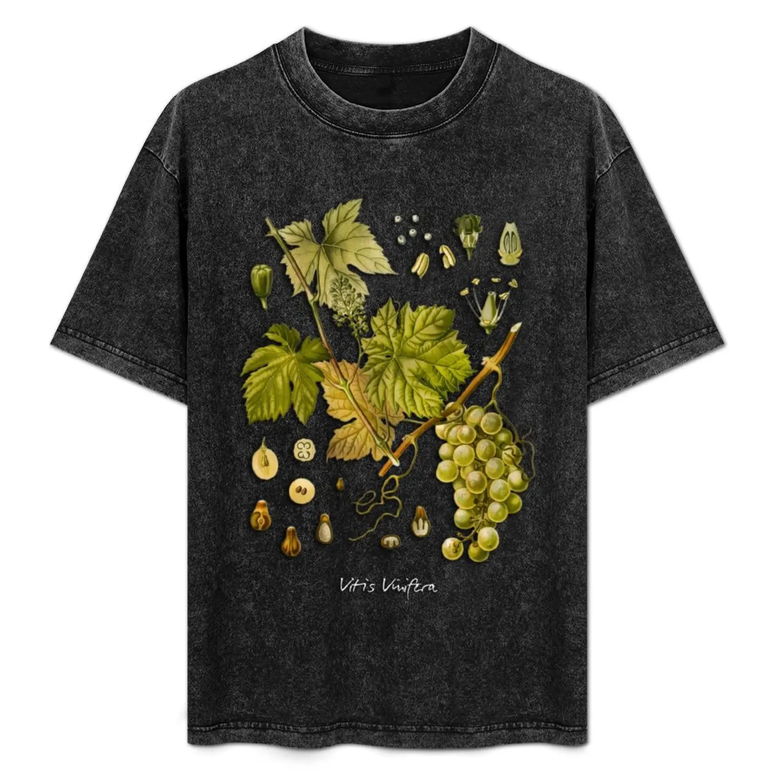 

Vitis vinifera T-Shirt Sun Protective Outdoor Tee Top