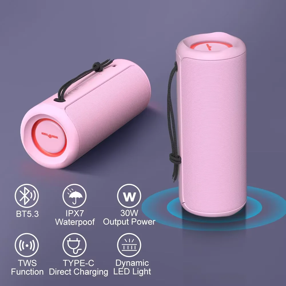 WISETIGER P3 Altoparlante Bluetooth portatile 30W Outdoor IPX7 Scatola audio wireless impermeabile Bass Boost BT5.3 Luce RGB Connessione TWS