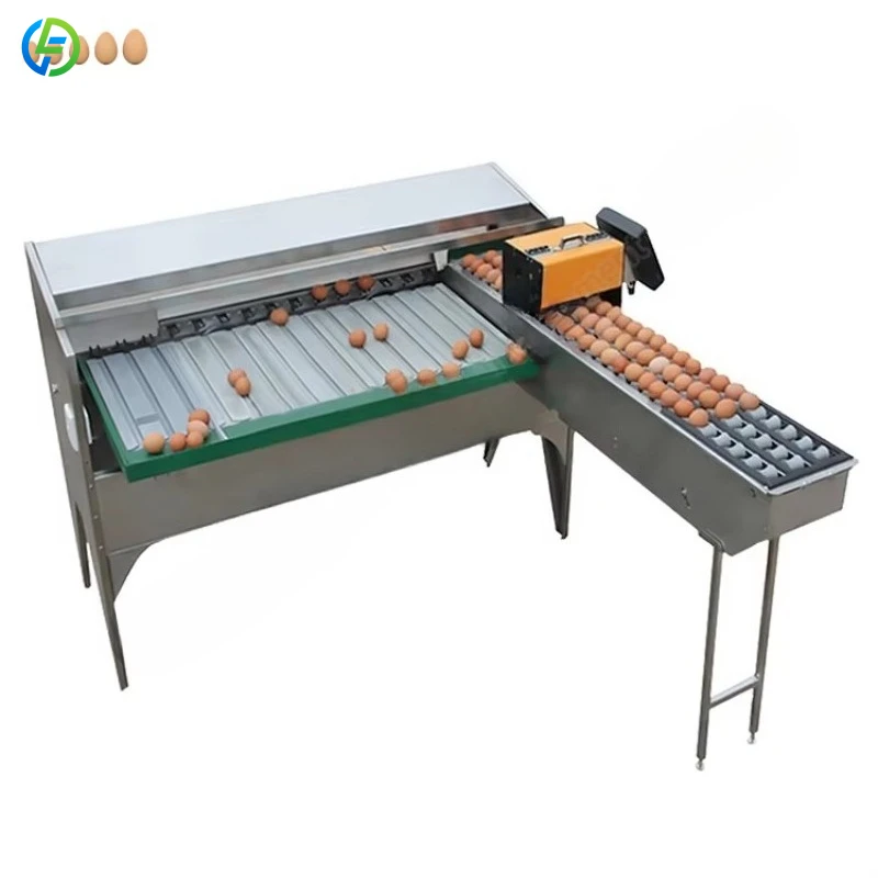 

Foodline Hot Selling Egg Grader Machine New Price Automatic Egg Grader Customized