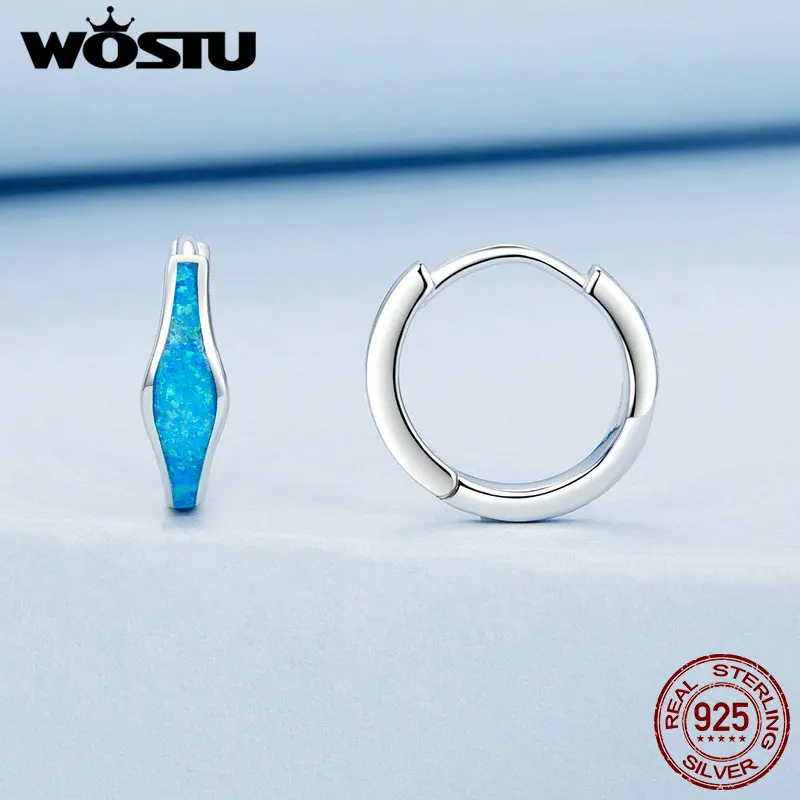 WOSTU 925 Sterling Silver Heart Opal Earrings Women Blue Opals Simple Geometric Ear Buckles Wedding Party Jewelry Gift For mom