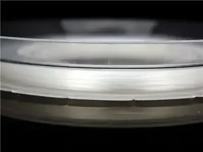 Fluorocarbono Galis FC – Línea japonesa original para atún y lubina - imagen 3