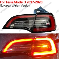 LED Taillights For Tesla Model 3 2017-2020 Rear Warming Stop Brake Lamp Yelow Turn Signal Lights Fog Lamp Car Accessories