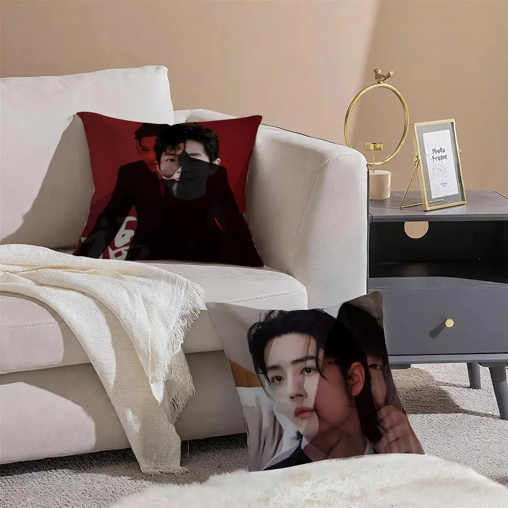 Sean Xiao Zhan Actor Pillow Case Double-Sided Plush Sofa Cushion Covers Organic Breathable Invisible Zipper