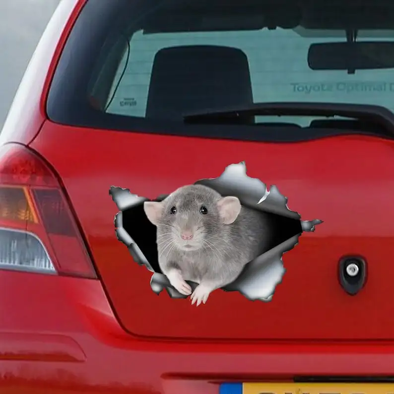 Dumbo Rat car decal, Dumbo Rat magnet, Gray Dumbo Rat car sticker, pet decal