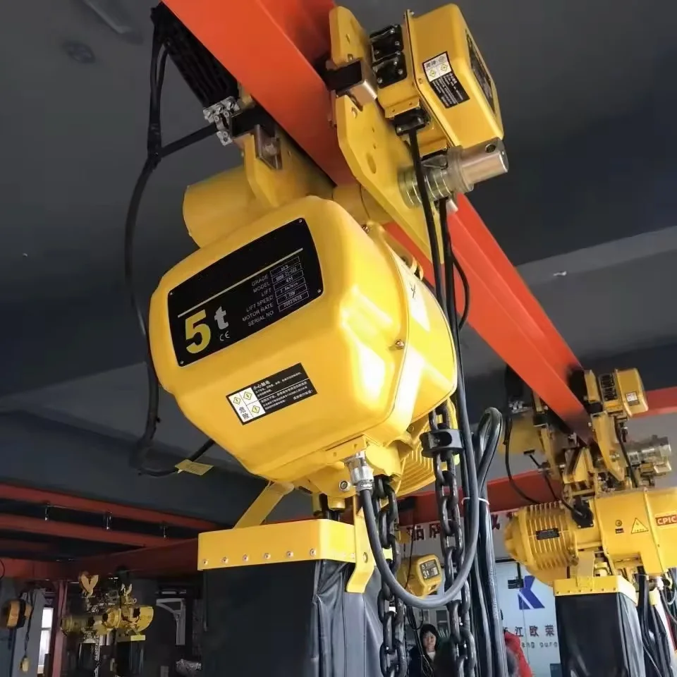 5 10 16ton customized of chain hoist miniature electric chain hoist of 6 meters single-phase electric