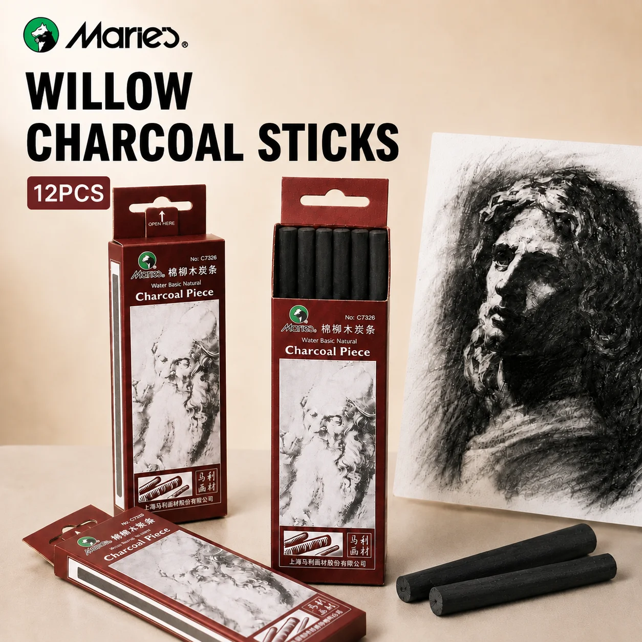 Marie's 12pcs Willow Charcoal Sticks, for Sketching,  Portrait, Shading, Round Mixed 3-8mm, for Artists, Adults and Art Lovers