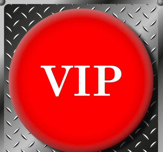 Outstanding quality, attentive service High end furniture Price difference payment link for VIP customer