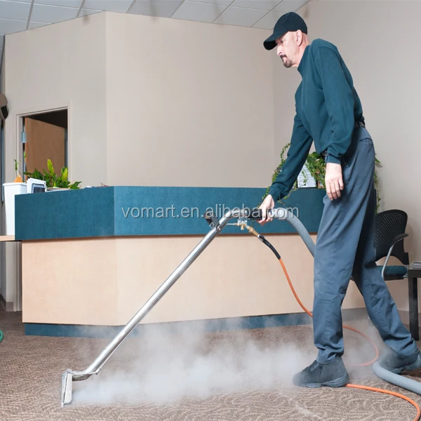 2015 LPG 20bar Mobile Steam Car Wash Machine Price/steam Mobile Auto Detailing Equipment