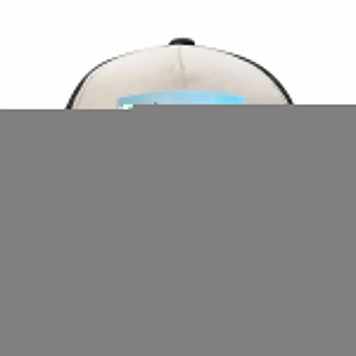 Absolutely Stunning Bird on Acrylic Sky Baseball Cap |-F-| Christmas Hat Designer Hat Boy Women's