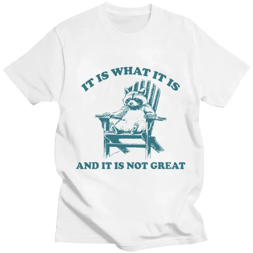 It Is What It Is and It Is Not Great Raccoon Meme T-Shirts Funny Opossum Popular Tshirt Men's Fashion Cotton Casual Short Sleeve