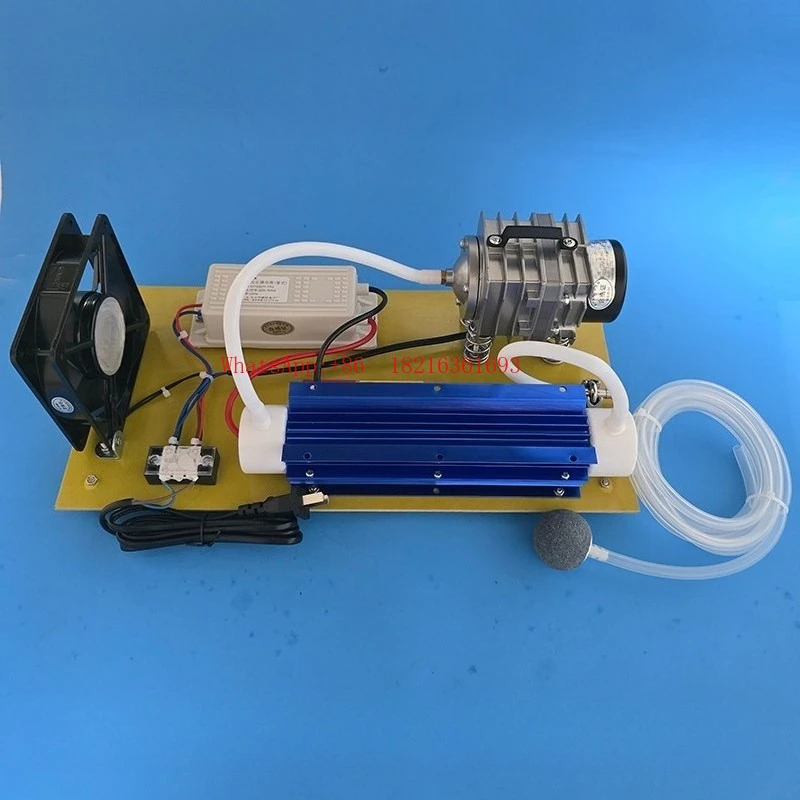 Ozone Generator Disinfection Machine Electromagnetic Air Pump Simple Purification Water Treatment 220V10g20g