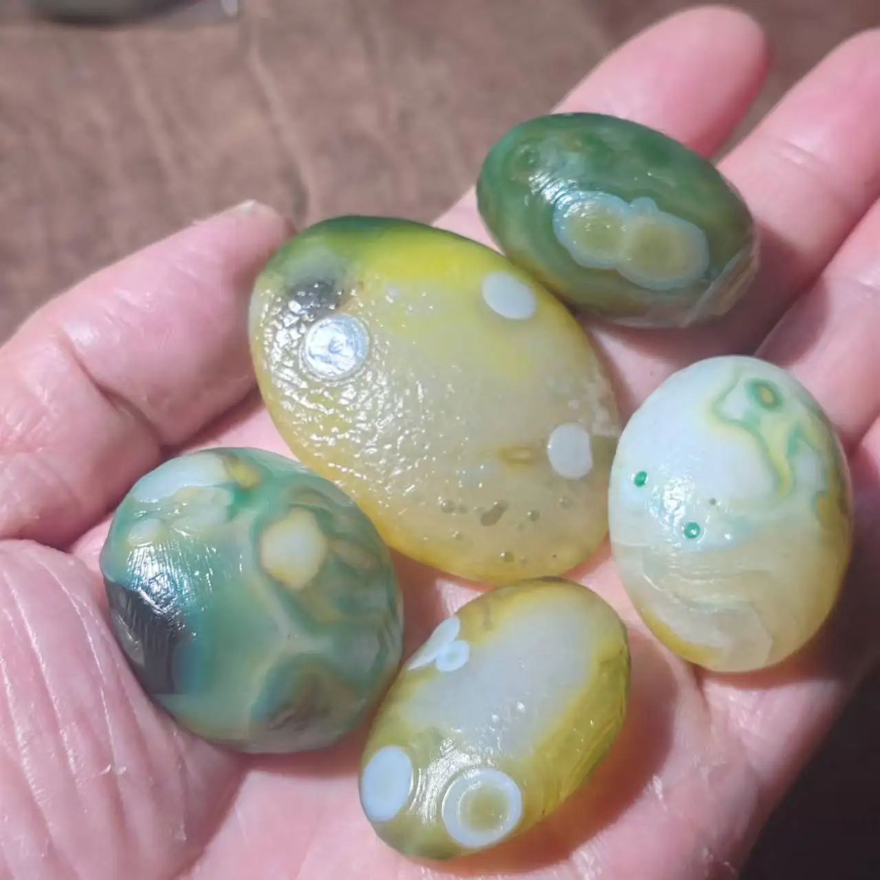 5pcs/lot Gobi Agate Yellow-Green White Natural Eye Stone Rough Without any manual processing Collectibles Miraculous amulet