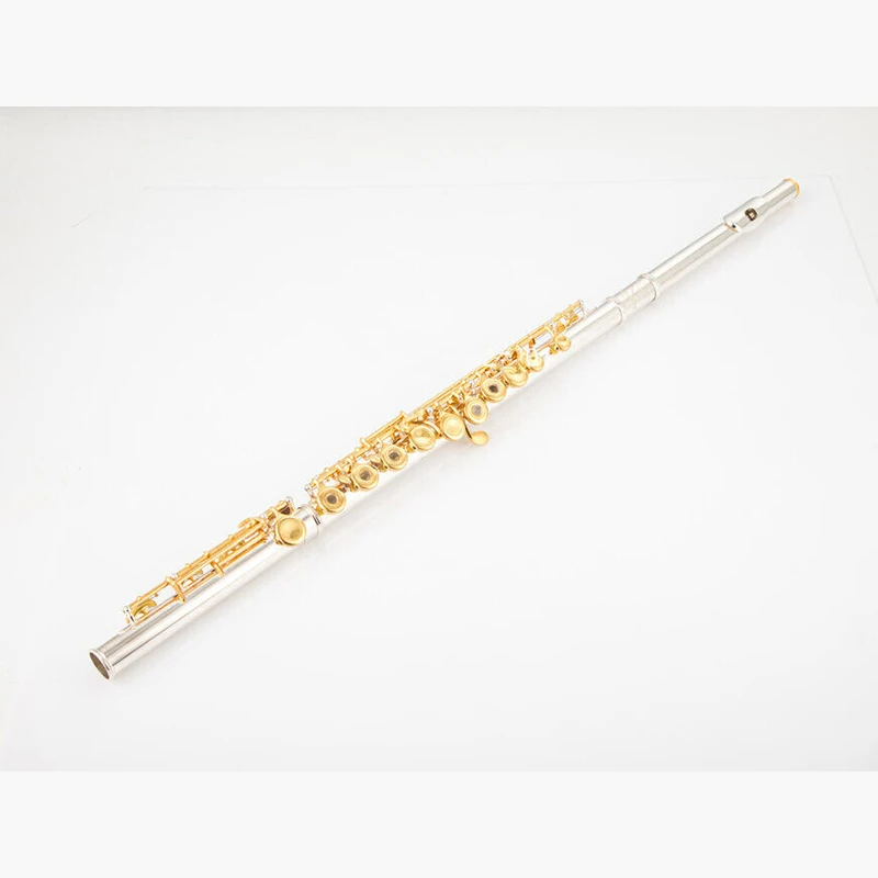 Quality Flute C 17 Open Hole Silver Body Gold Key Instrument with Accessories