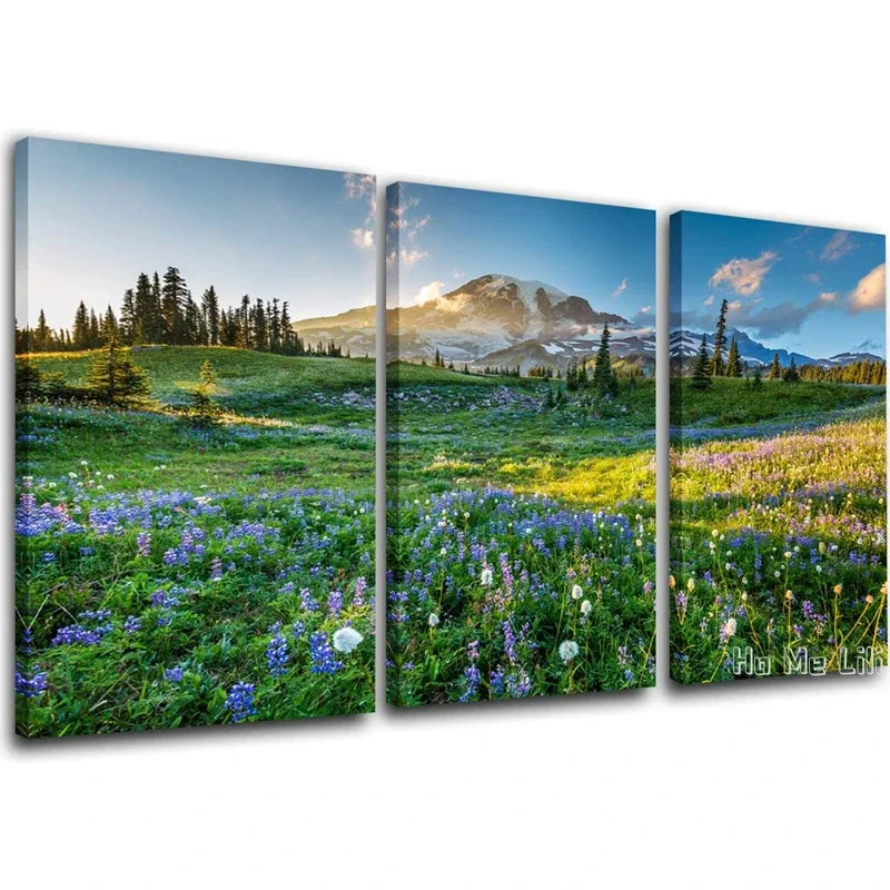 Mount Rainier National Park Canvas By Ho Me Lili Wall Art Wildflowers At Sunset Pictures Modern Artwork Home Decor For Room