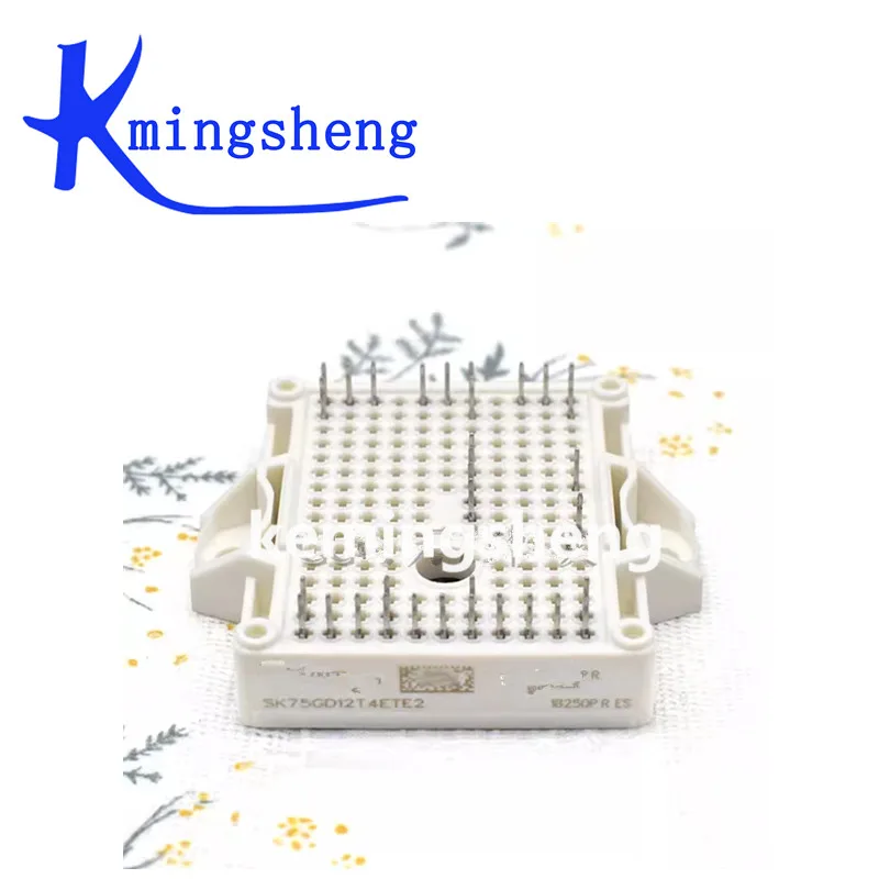 

SK75GD12T4ETE2 FREE SHIPPING NEW AND ORIGINAL MODULE