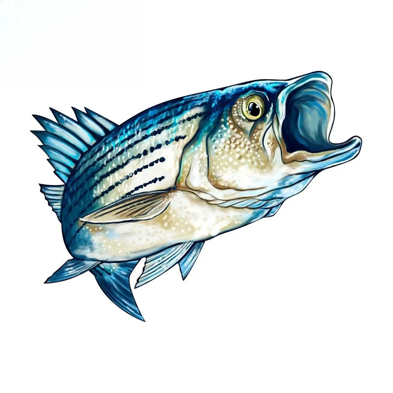 

13X10cm Funny Striped Bass Car Sticker Outdoor Fishing Boat Kayak Toolbox Vinyl Decal 3D Sea Animal Stickers PVC KK