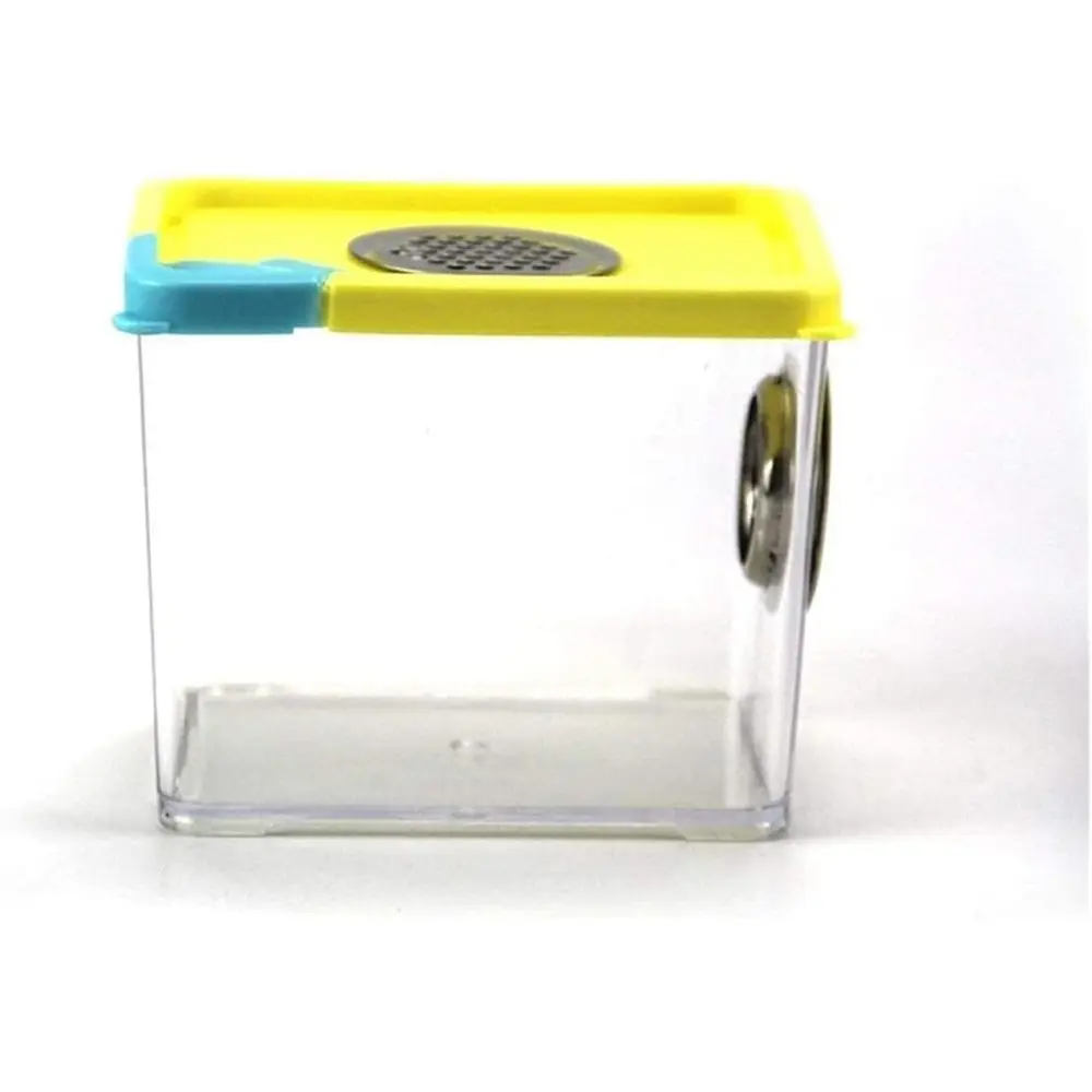 

Acrylic Reptile and Amphibian Habitat with Metal Ventilation for Breeding and Living, Colorful Transparent Enclosure