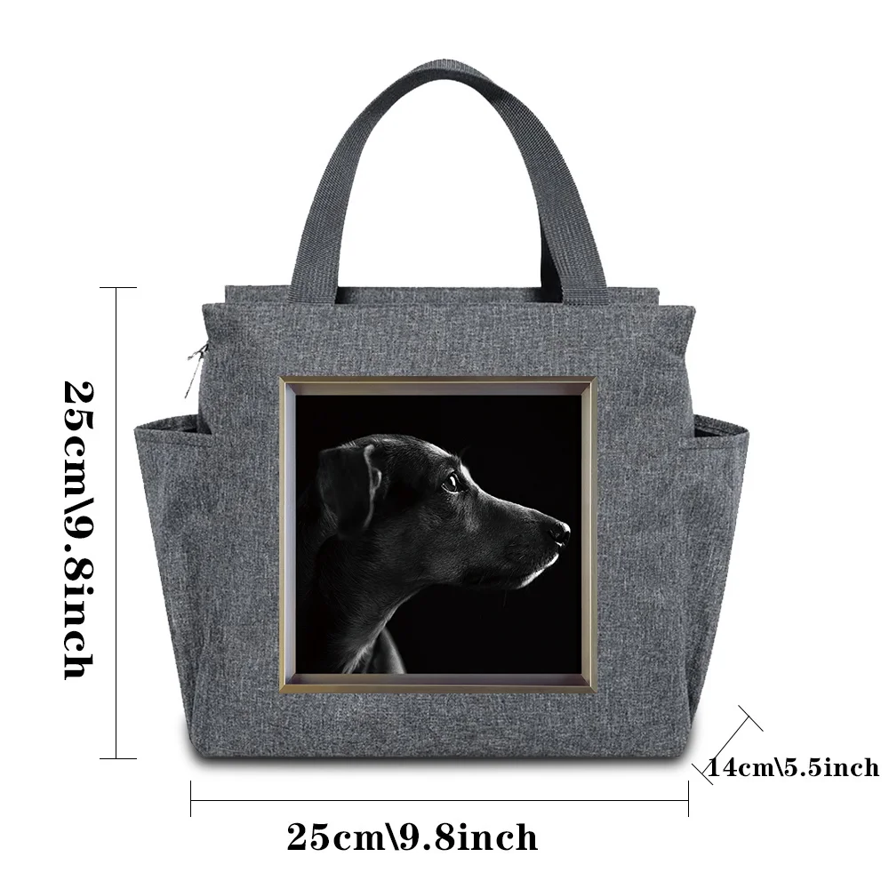 Picnic Travel Cooler Box for School Portable Insulated Lunch Bag Animal Series Printing Pattern Breakfast Box Canvas Handbags
