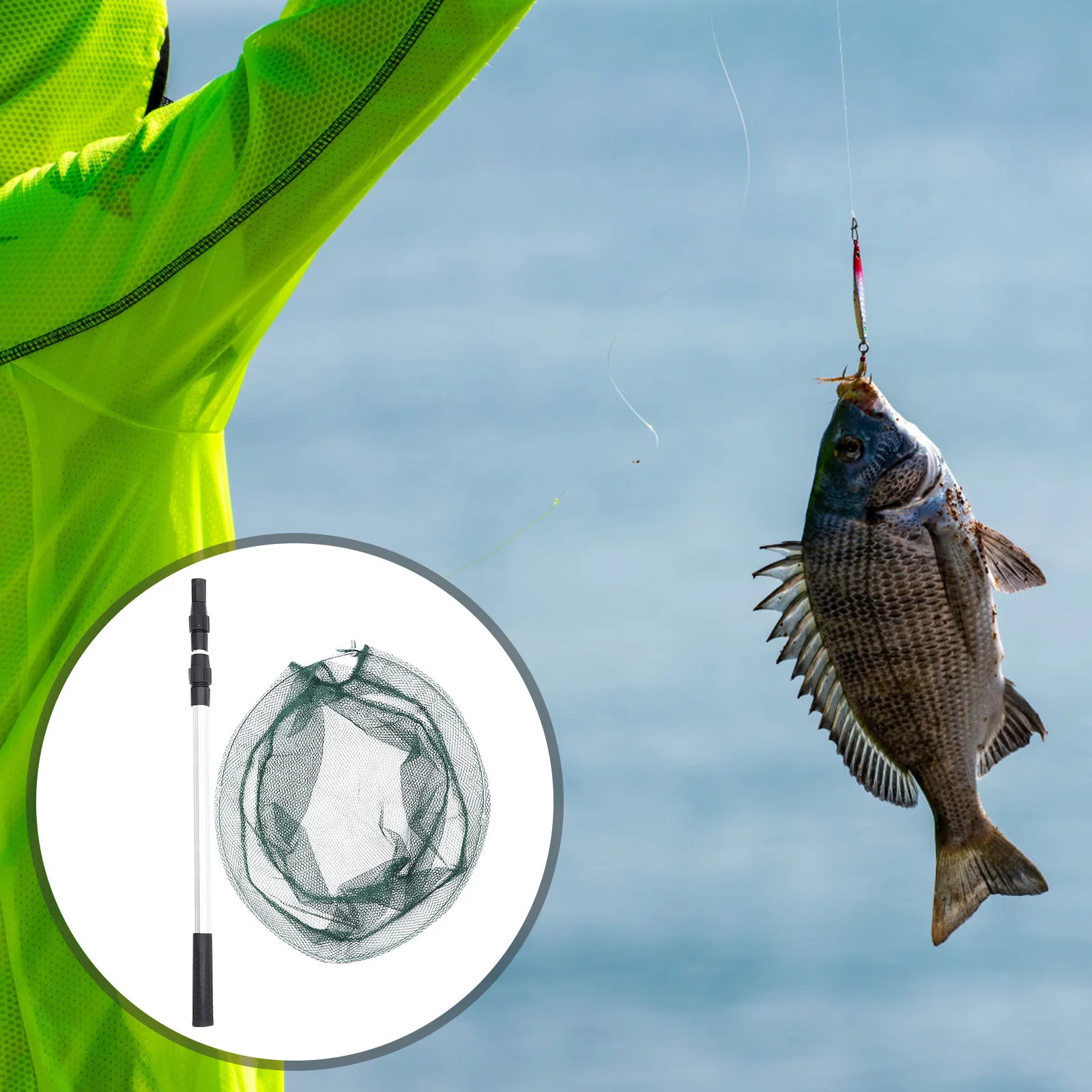 

Collapsible Fishing Net Telescopic Fish Tank Net Foldable Mesh Aquarium Fish Catch Durable Non Toxic