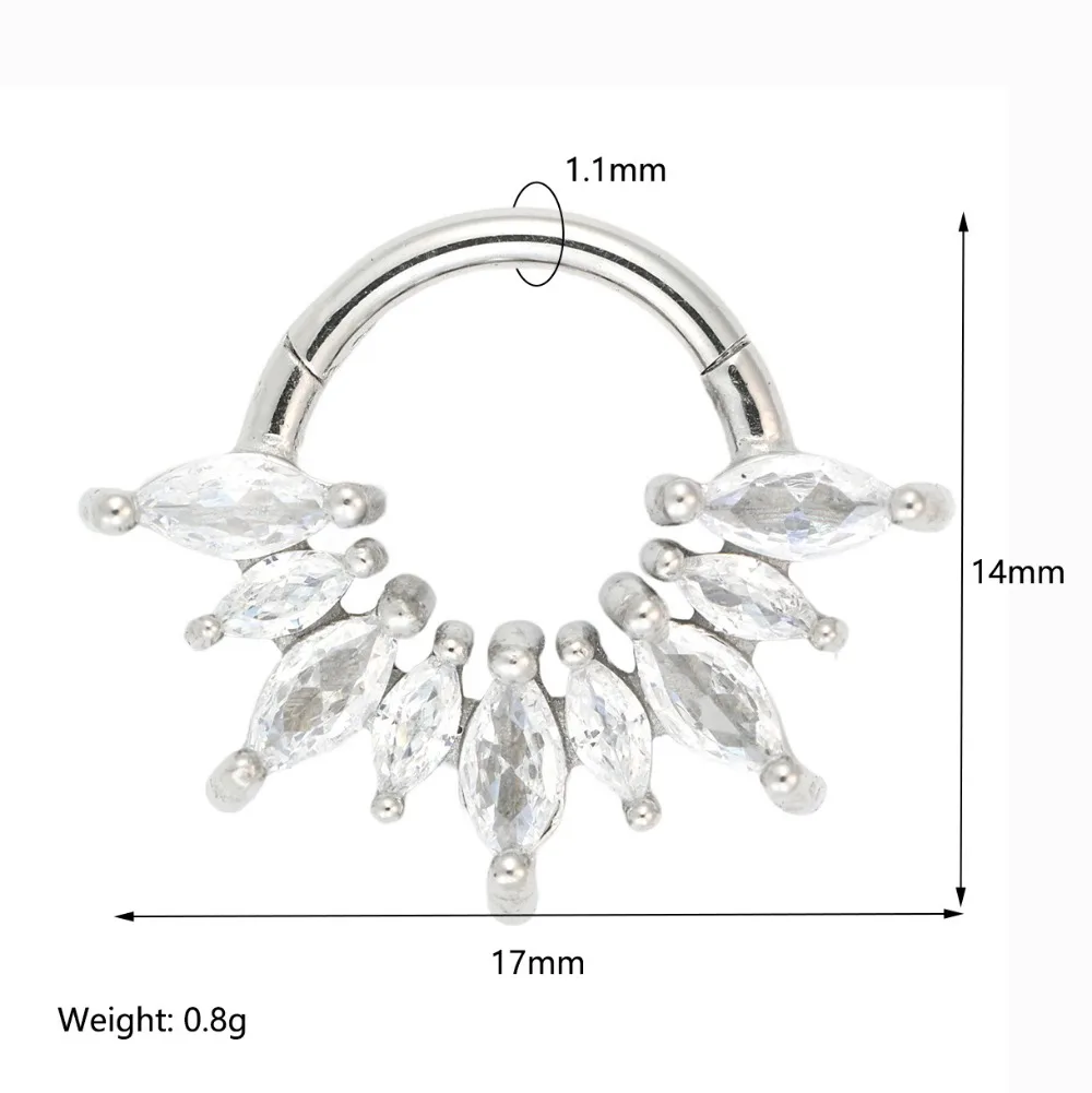1/4 Pcs 316 Stainless Steel Closed Hinge Inlaid Purple, Pink, White, Orange 5A Zircon Pierced Nose Ring Earrings