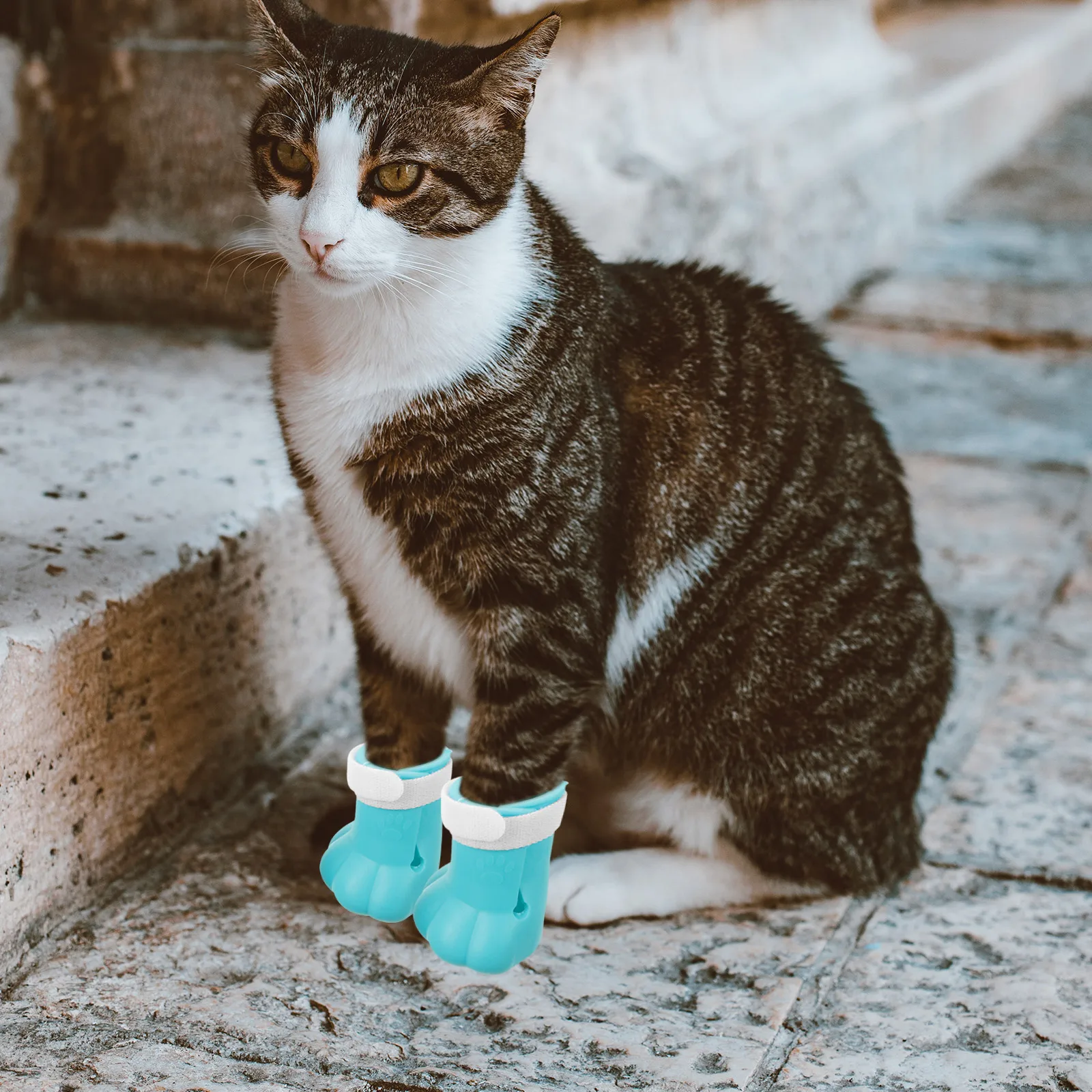 

4 Pcs Cat Feet Cover Shoes Pet Foot Anti Scratch Kitten Booties Sky blue Small Size Soft Silicone Nail Covers Washable Claw Caps