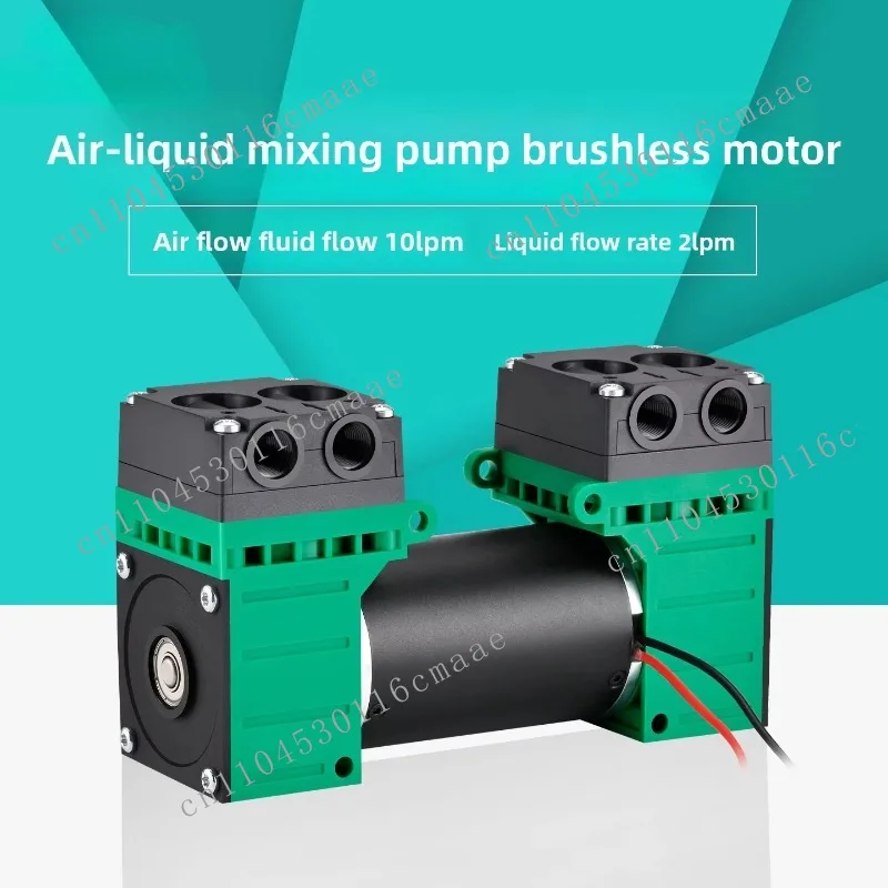 Gas-liquid Mixed Diaphragm Pump 12V/24V DC Brushless Micro Water Pump 10LPM Double-head Negative Pressure Pump