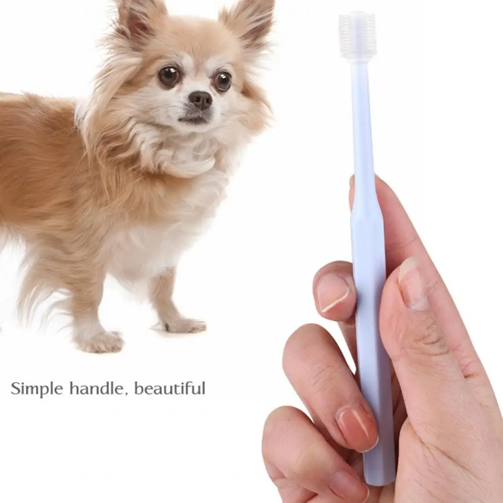 Useful Small Brush Head 360 Degree Oral Cleaning Dog Toothbrush Easy Storage Eco-friendly Cat Toothbrush for Chihuahuas