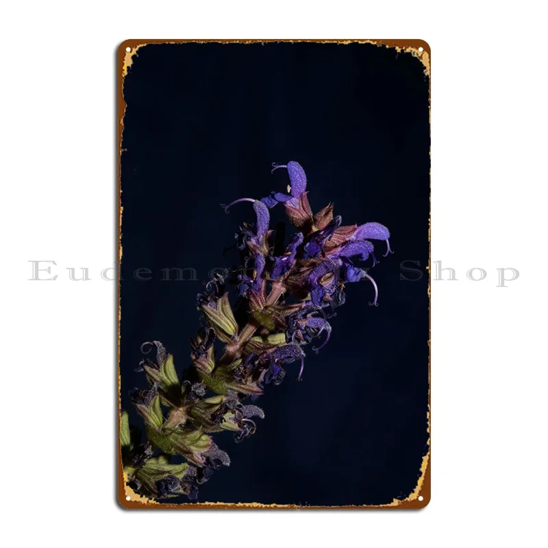 Salvia Flowering Close Up Metal Plaque Wall Decor Retro Garage Custom Garage Tin Sign Poster