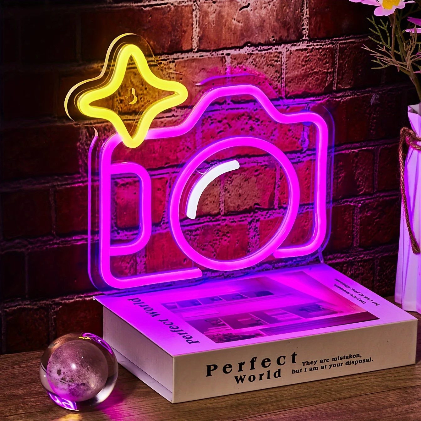 1pc Camera Back Plate Neon Light, Wall Party Bedroom Game Room Sports Festival 5V USB Powered