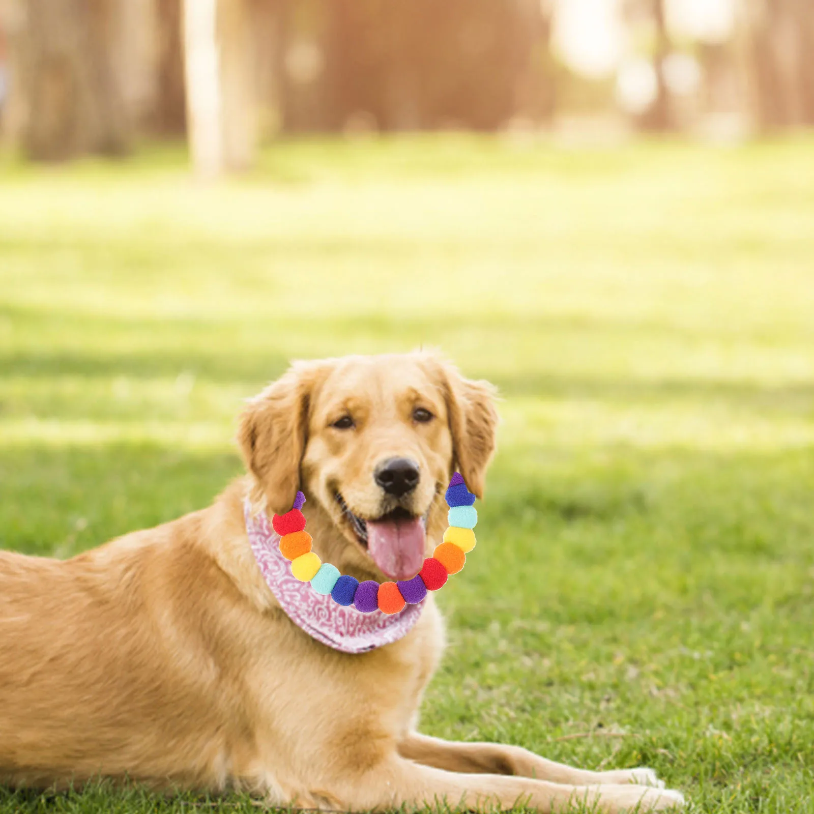 

Stylish Pom Pom Dog Collar Adjustable Pet Neck Tie for Puppy Fashionable Decorative Collar Skin-Friendly Lightweight Material