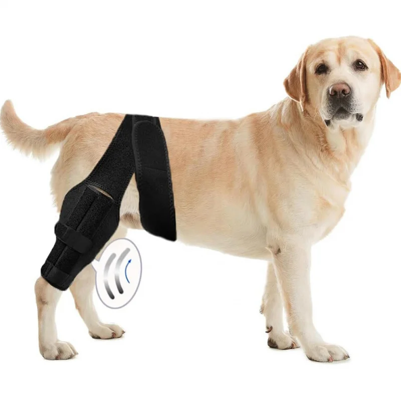 

Hot Sale Pet Protective Gear Injury Auxiliary Strap Gaurd Set Dog Knee Rehabilitation Training Belt Leg Protecti